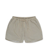 Asnou Swim Short | Blue Stripe