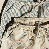 Asnou Swim Short | Blue Stripe
