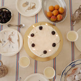 Dino Plates | Set of 8