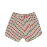 Marlon Shorts | Antique Stripe