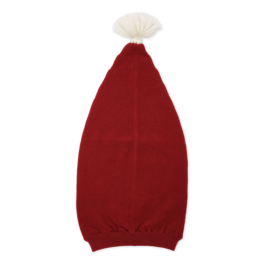 Christmas Hat