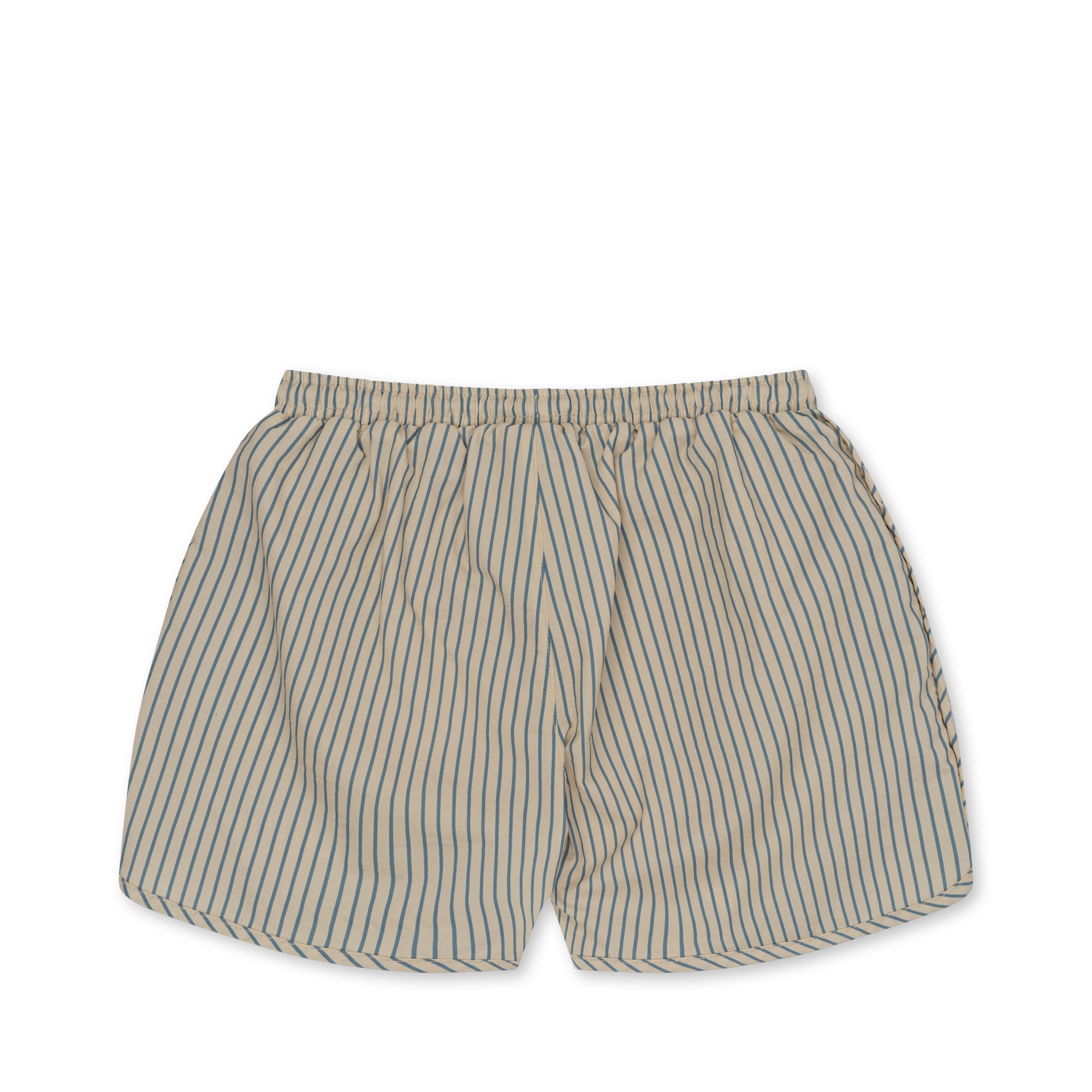 Asnou Swim Short | Blue Stripe