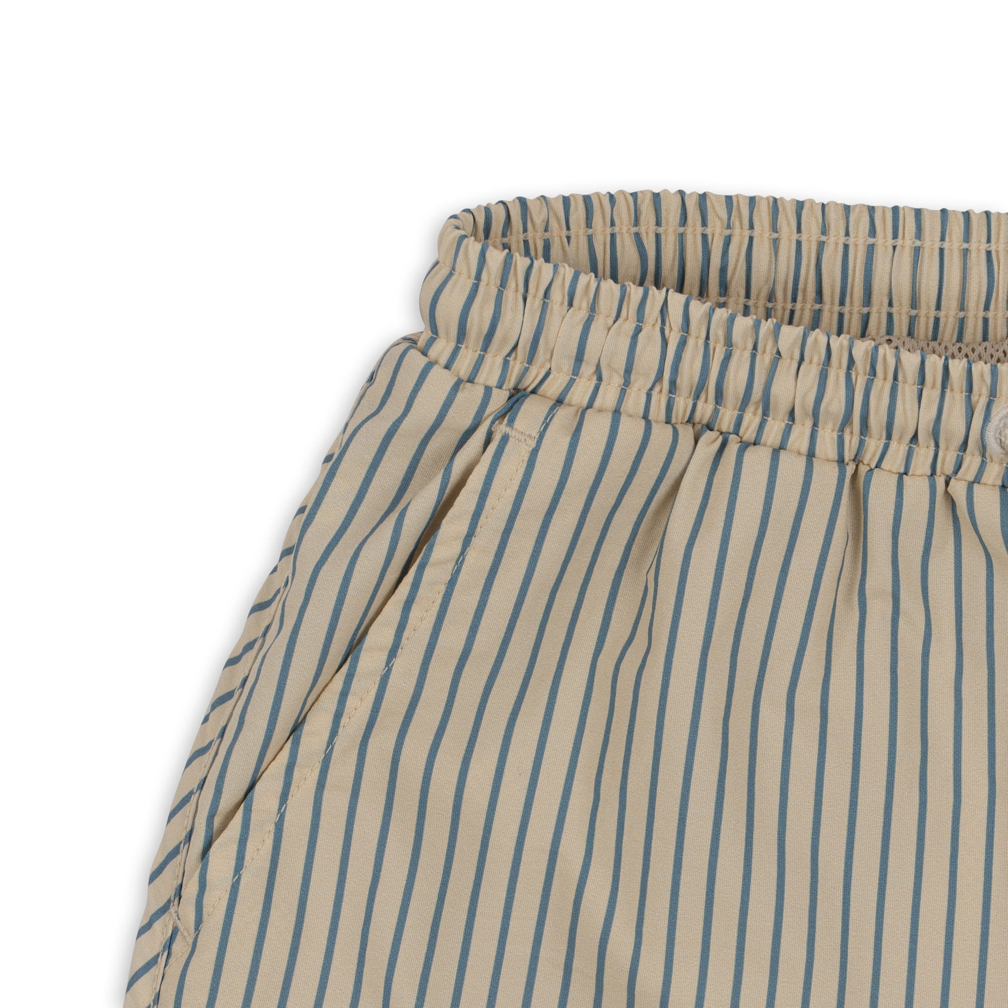 Asnou Swim Short | Blue Stripe