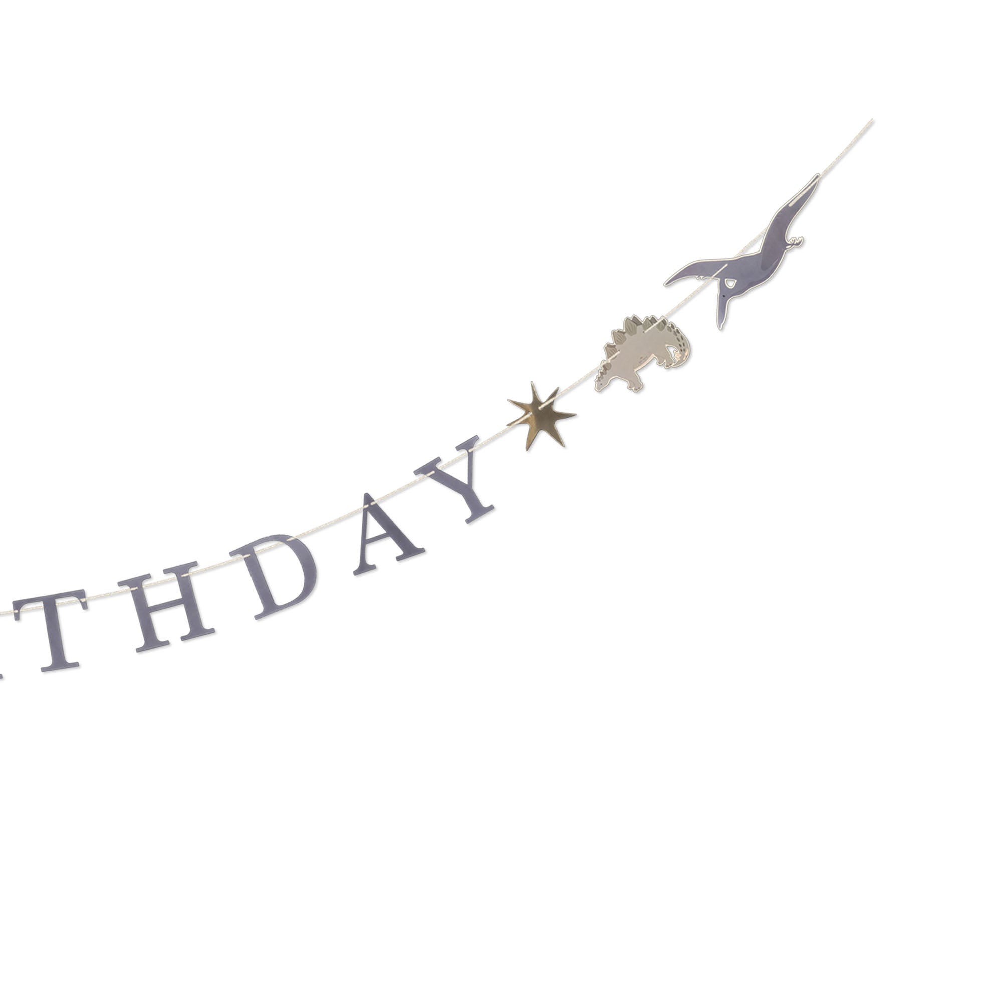 Dino Party Kit