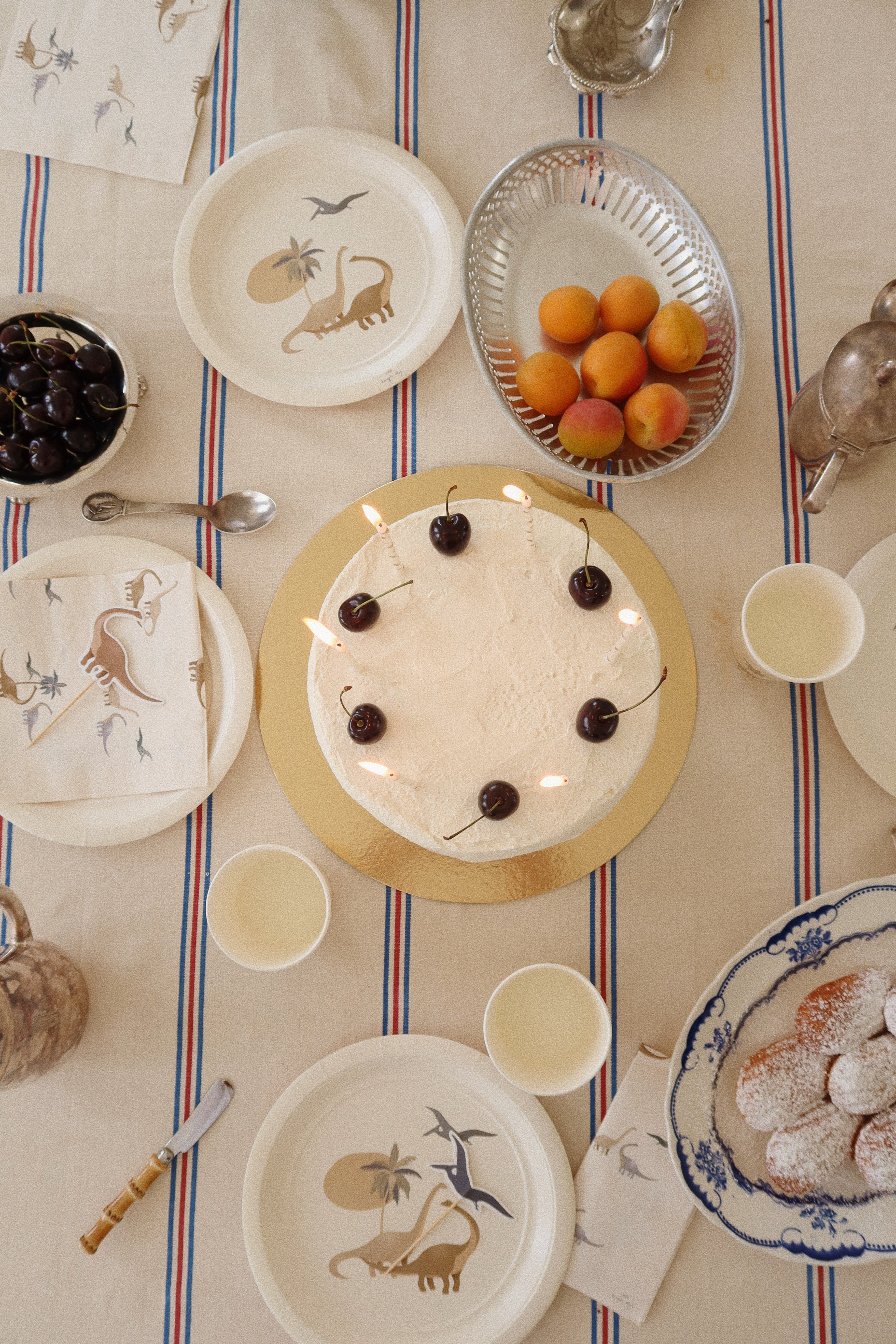 Dino Plates | Set of 8