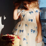 Yvonne Fairy Dress | Bowie Blue