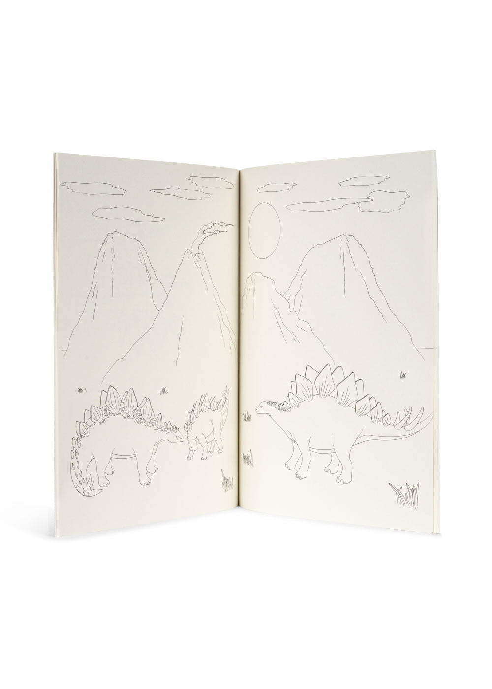 Coloring Book + Color Pencils Set | Dino