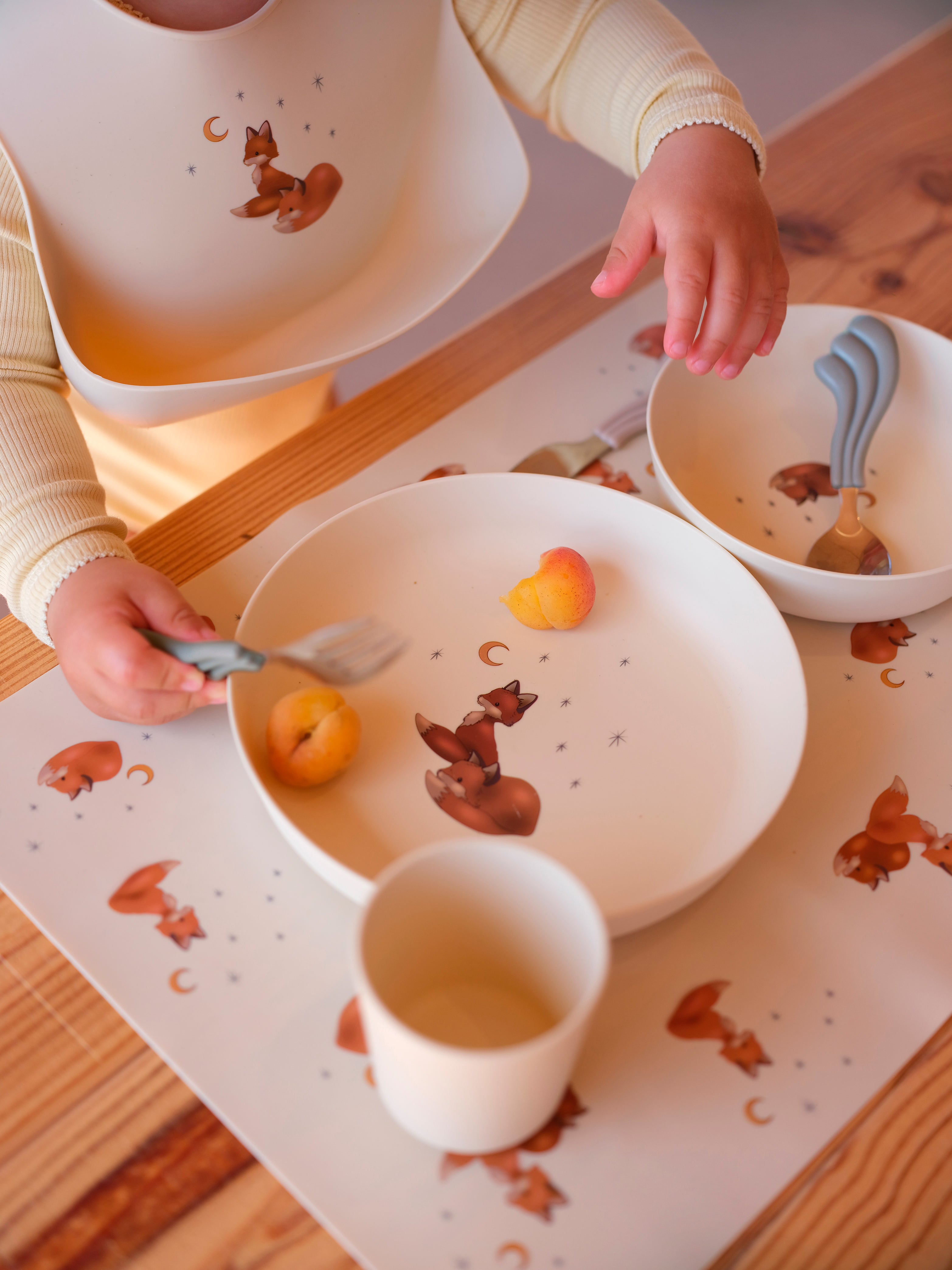 Dinnerware Set - Foxie
