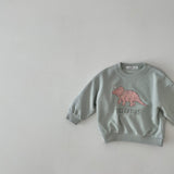 Triceratops Sweatshirt